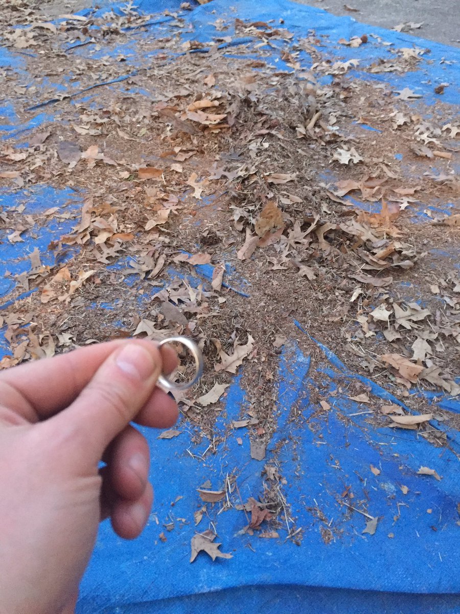 Financialplgrm's tweet photo. Found it!! Was getting dark and I was giving up hope on can #2. Got most of the leaves back into the can and was scraping my foot over the clippings and there it was. #findthering https://t.co/bJkXIxStct