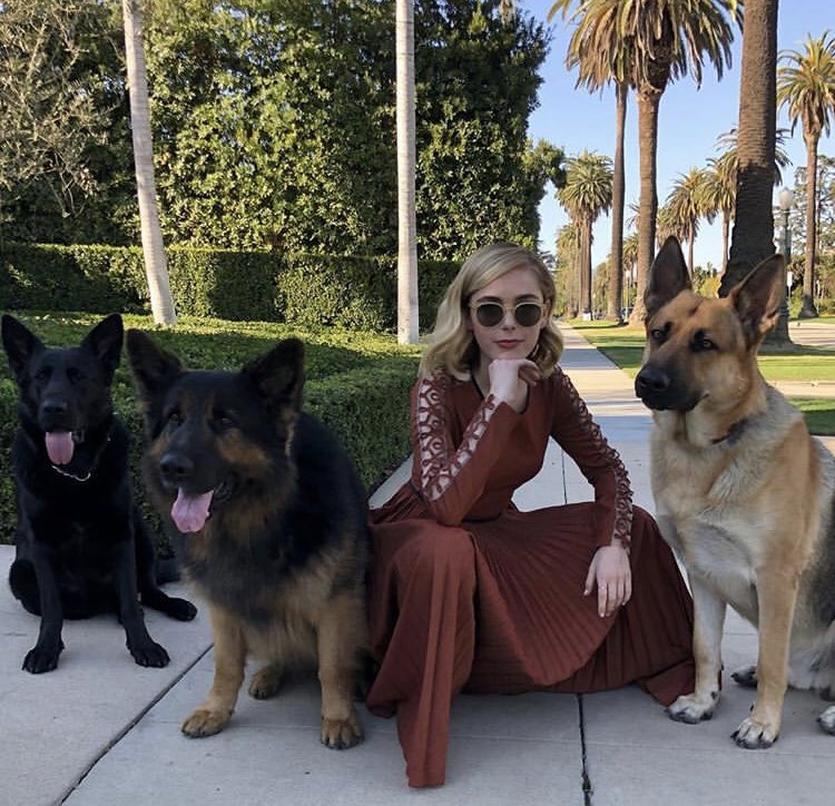 KayleeRoth6's tweet photo. Got the whole squad together 🐾 https://t.co/jms9YyaQNL