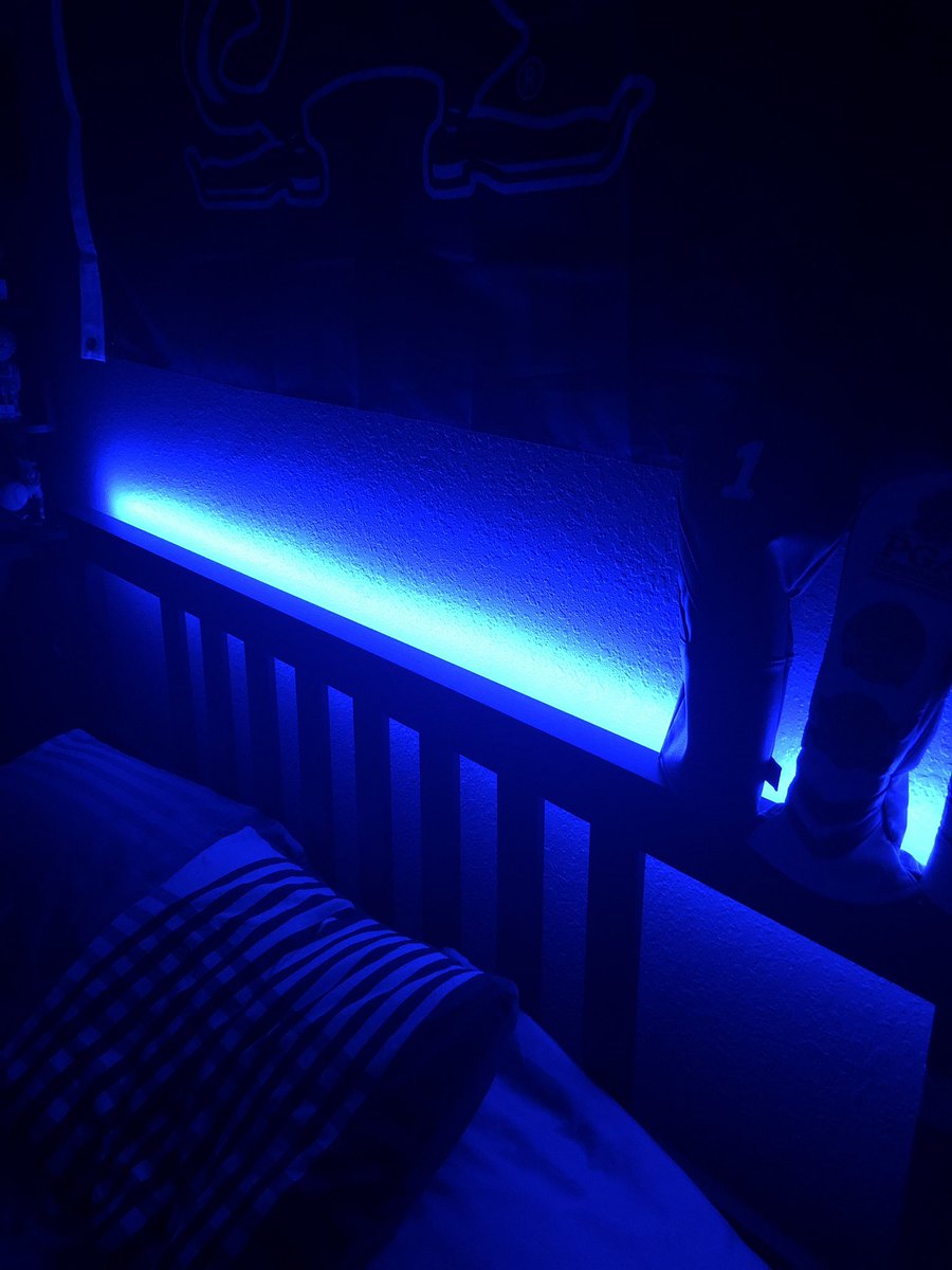 mu505894's tweet photo. There led lights in my room use much less energy to “light” my room than the incandescent lightbulb on my ceiling @franklinlorax #apesenergy https://t.co/7XVFMENiss