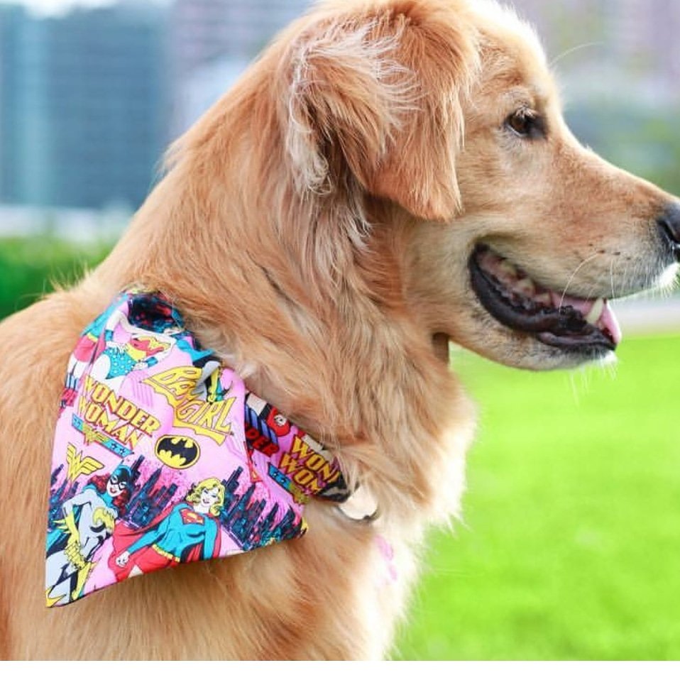 star wars dog bandana