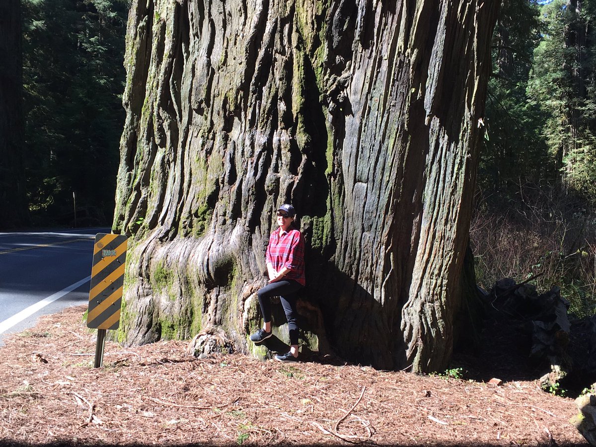 RedRising11's tweet photo. 🍀 Happy St. Patrick’s Day ☘️
Absolutely gorgeous day in #Oregon, the #RedwoodForest and #GreenBeer at the Beach 🌲🏖🏔 #Blessed #GotGirth #JustSayin #StPattysDay #HappyStPatricksDay 🙌🏻 https://t.co/maVJD8sw9a