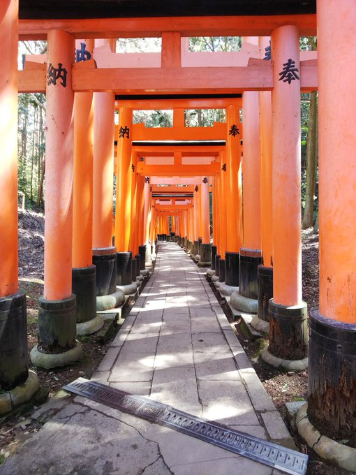 伏見 高画質 のtwitterイラスト検索結果