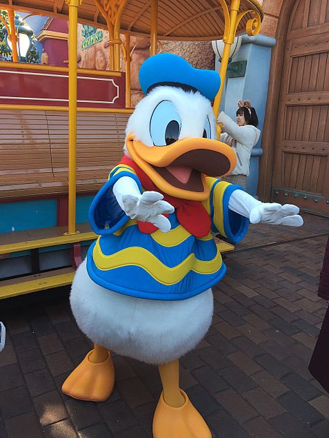 ドナルドダック大好き