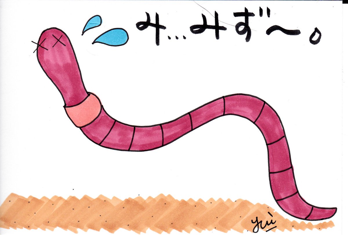ミミズ ミミズ