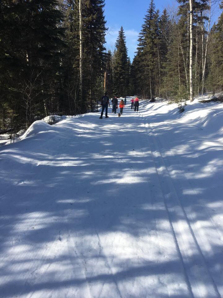 Good portion of #9352QuesnelBranch out for a walk/snowshoe/cross-country ski!! Not my forte but a beauty of a day for it, great company and a beautiful spot at #hallislake @AntoniakMichael <a href="/JohnP_BC/">John Preston</a>