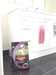 mr_internet's tweet image. I think I’ve found the best dog food brand SUPERCOAT after I tried others a thousand times. My pet's coat has become shiny and she likes her food very much. Highly recommend. #SUPERCOAT#28DAYSMIRACLE