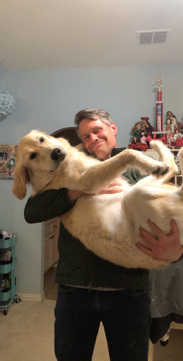 tuckjulia14's tweet photo. @702Austin this is layla, texas, and kitsy https://t.co/FO1m3yFv2k