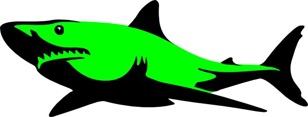megateethfossil's tweet photo. Happy St. Patrick’s Day everyone! Hope everyone had a fun, safe time today! #megalodon #megateeth #shark #tooth #teeth #sharktooth #sharkteeth #dive #diver #diving #collector #collection #collecting #fossil #prehistory https://t.co/94QlezZIy7