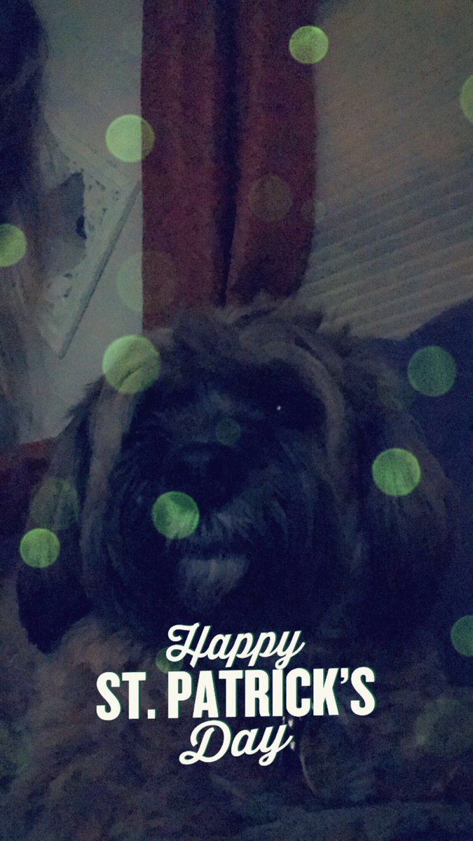 Alex_Barron_10's tweet photo. I hope everyone has enjoyed their #StPatricksDay 💚💚💚 https://t.co/fYWKcziCfa