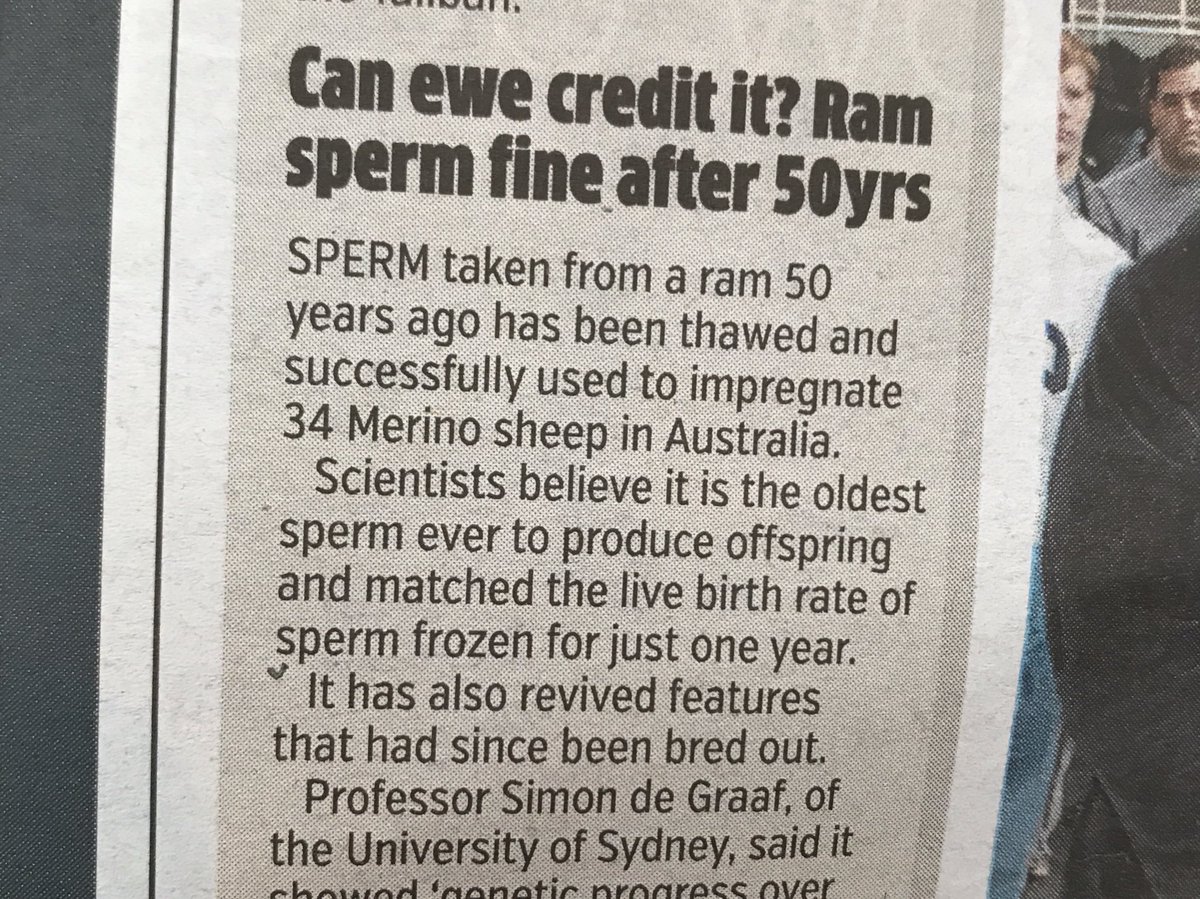 siancothivale's tweet photo. Always hunting out the farming stories in the morning paper #alwaysafarmer #lovesheep https://t.co/TE19di36Je