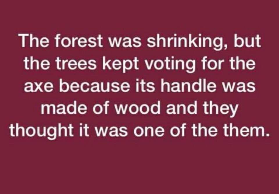 PrekshaSchettri's tweet photo. #MondayMorning #ThoughtOfTheDay https://t.co/ukLWB57cqF