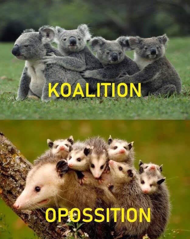 Как же это туууууупо😂