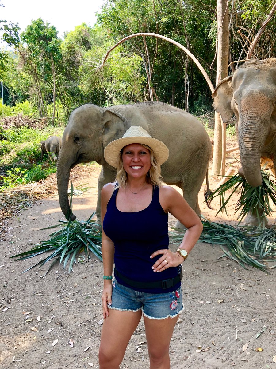 ambershustles's tweet image. Thailand dreaming 🐘#expressyourrules #4expresspoints @express