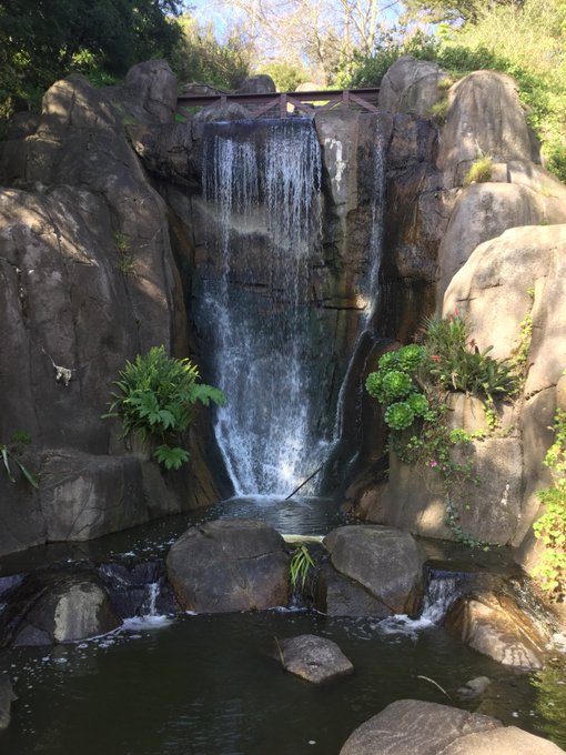 Easy 10km #run in #GoldenGatePark on re-opened #trails for #Sunday #runday #funday! #fromwhereIrun #trailrun<a href="/tag/run"class="tags">#run</a><a href="/tag/goldengatepark"class="tags">#GoldenGatePark</a><a href="/tag/sanfrancisco"class="tags"><span>#sanfrancisco</span></a><a href="/tag/nofilter"class="tags"><span>#nofilter</span></a><a href="/tag/california"class="tags"><span>#california</span></a><a href="/tag/running"class="tags"><span>#running</span></a><a href="/tag/sf"class="tags"><span>#sf</span></a>