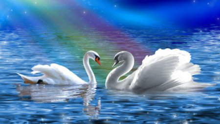 Swanlake_X's tweet photo. @YoshikiOfficial My beloved, one day we will float away into eternal happiness. And swim in The Lake of Swans forever and ever. ❤️ https://t.co/dZH8ez1KQW
