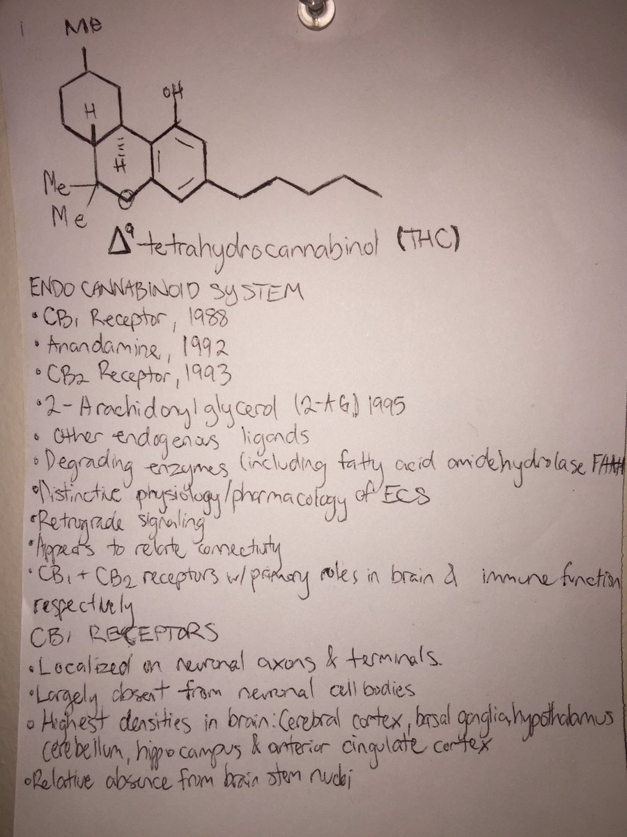 Nugbender's tweet photo. To my nerds out there what’s the difference between a cannabinoid and a terpene?

#cannabinoid #terpenes #weednerd #cannaetiquette #knowledgebombs #researchansstudies https://t.co/vNQd4rPR5m