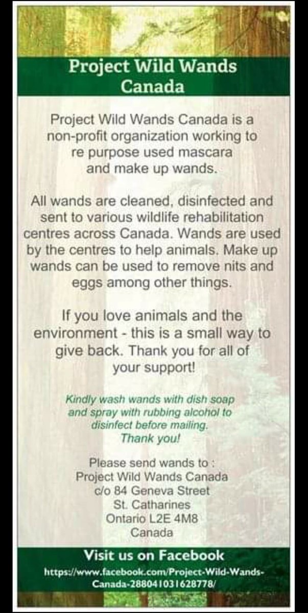 stpatsecoteam's tweet photo. Saints our environmental tip for the month of February 2019 is to recycle your old mascara wands by sending them to Wild Wands Canada! Simply wash your wand thoroughly before mailing it to: Project Wild Wands Canada c/o 84 Geneva Street St. Catherines Ontario L2E 4M8 Canada https://t.co/9eMbIWklEJ