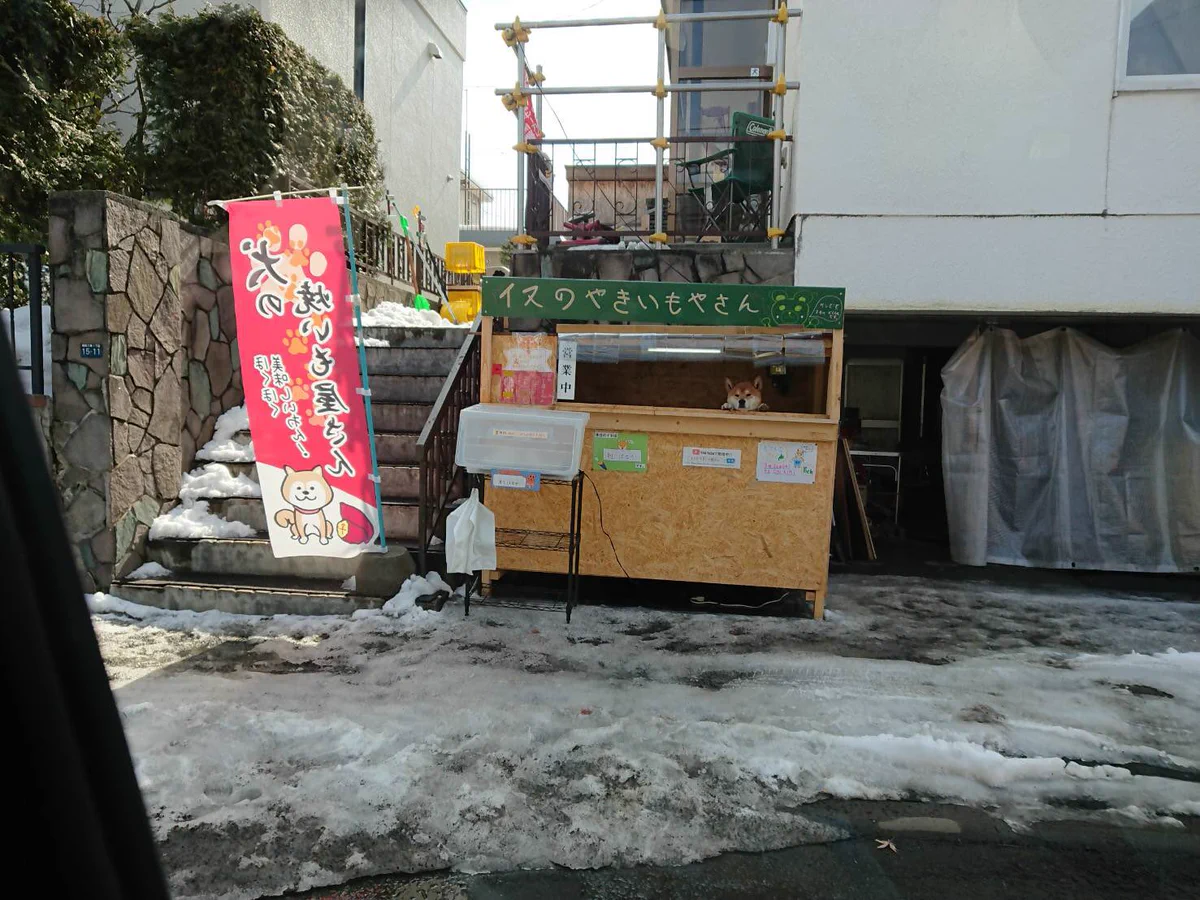 犬のおいもやさいwwwえ？犬がおいも売ってますwww