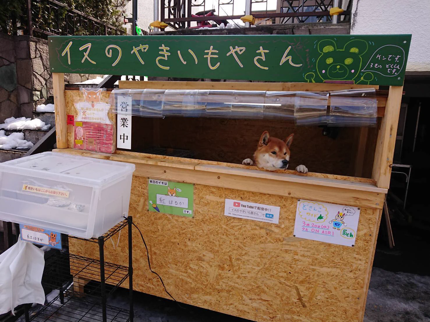 犬のおいもやさいwwwえ？犬がおいも売ってますwww