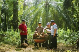 GAR_Sinarmas's tweet photo. #Responsiblepalmoil requires effort &amp; GAR is willing to put in the work to achieve it. Find our what we’ve done so far in our annual Sustainability Report: https://t.co/MCI1TTihye
#SR2017 https://t.co/sCO8q6oT7M