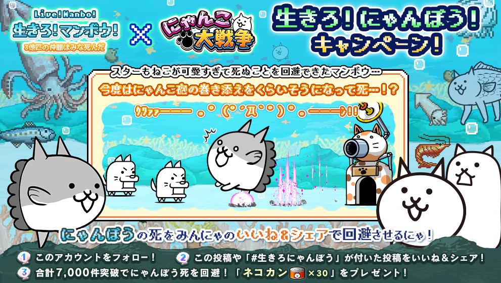 にゃんこ大戦争ついったー担当 ニャンボウ ゚ロ゚ ウシローッ 生きろ マンボウ コラボ記念キャンペーン いいね Rtして にゃんこ砲に撃たれそうなにゃんぼうの死を回避するにゃ 7000件達成でにゃんこチケットをプレゼントにゃ 詳細 T Co にゃんこ大戦争ついったー担当 ニャンボウ ゚ロ゚ ウシローッ 生きろ マンボウ コラボ記念キャンペーン いいね Rtして にゃんこ砲に撃たれそうなにゃんぼうの死を回避するにゃ 7000件達成でにゃんこチケットをプレゼントにゃ 詳細 T Co