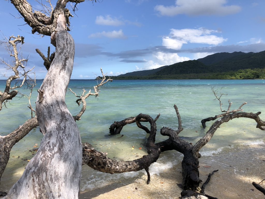 puriyunterwegs's tweet photo. Wenn Du glaubst, du hast alles an Entspanntheit & Langsamkeit schon erlebt und dann kommst du nach #Vanuatu - das toppt alles! Vergesst jedes Yoga- und Meditationscamp! #malakula https://t.co/ecJnG4lKZn