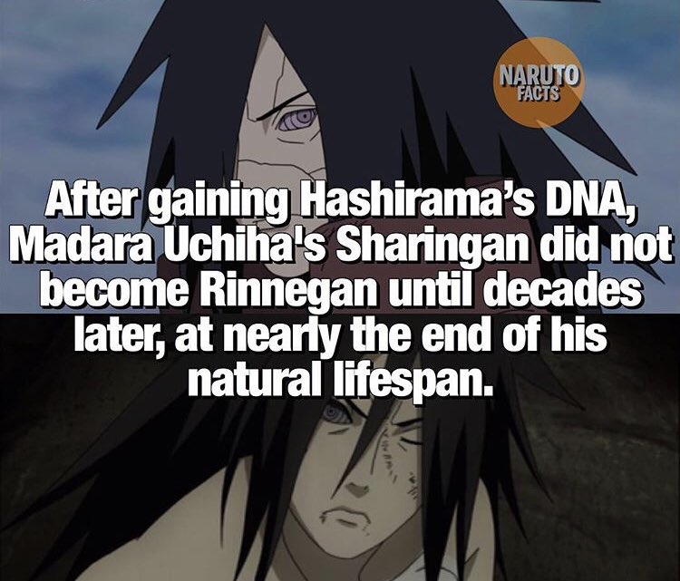 Some fun facts. : r/Naruto