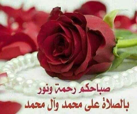بنور الزهراء اهتدي tweet media