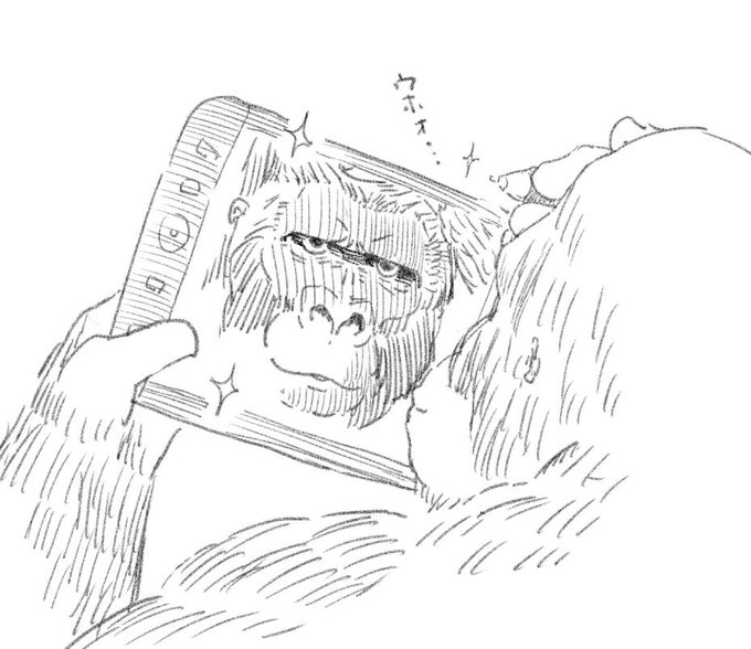 液タブの保護フィルムをツルツルに削ってしまうゴリラ 