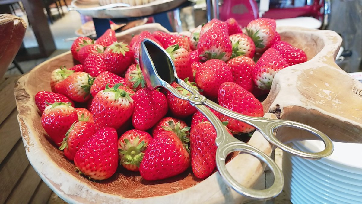 riku___222's tweet photo. 最近幸せだったこと…いちご…🍓
唐突な行動に付き合ってくれた影井ちゃんに感謝…！ https://t.co/X8BwRCHghQ