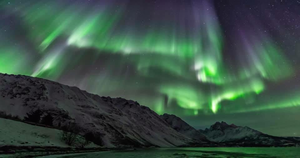 superjennywade's tweet photo. My friends just returned from Vikingโs โIn Search of the Northern Lightsโ cruise.... I think, judging from their photoโs, they found them!! https://t.co/piKlmhqYXx @VikingTradeUK 2020 itineraries on sale now from ยฃ3840pp #bucketlist #inclusivevalue https://t.co/235Qv8sXGn