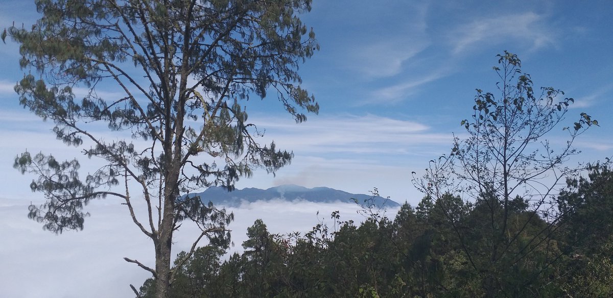 Este día en San Pablo Guelato tenemos foro  #PlaneandoJuntas y #PlaneandoJuntos la Transformación de México 🇲🇽  de Pueblos Indígenas y Afromexicano.