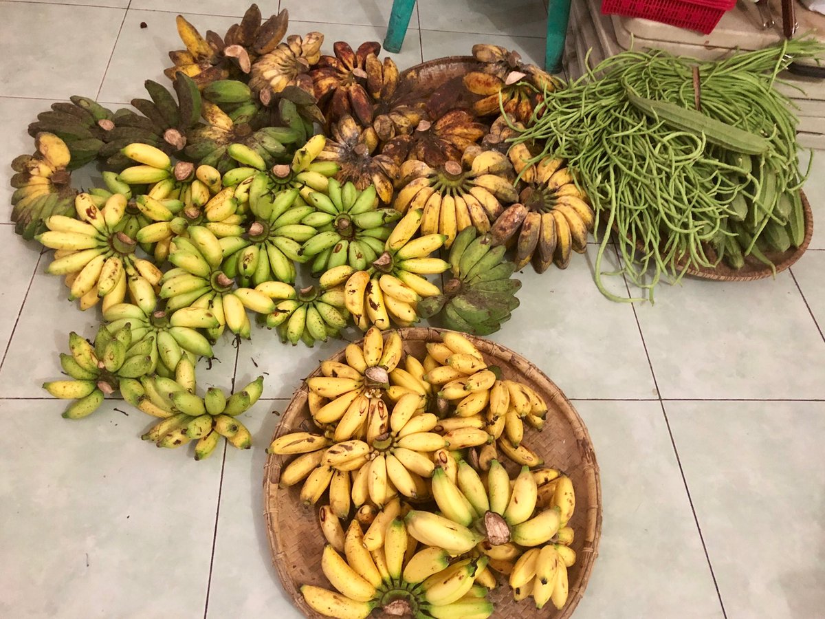 SizzleMel's tweet image. Apparently these #bananas are not good candidates for banana bread..... #loadsofbananas #pisangsusu #milkbanana