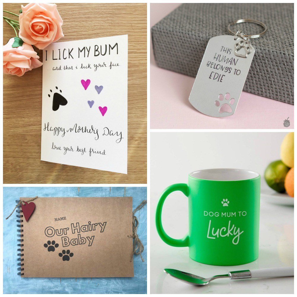 IAmSallyDog's tweet photo. Mother’s Day Ideas from The Dog https://t.co/8CfJcbWjjf https://t.co/9Cnfsh1fEu