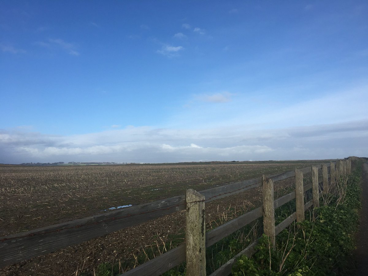 Rame Barton tweet media