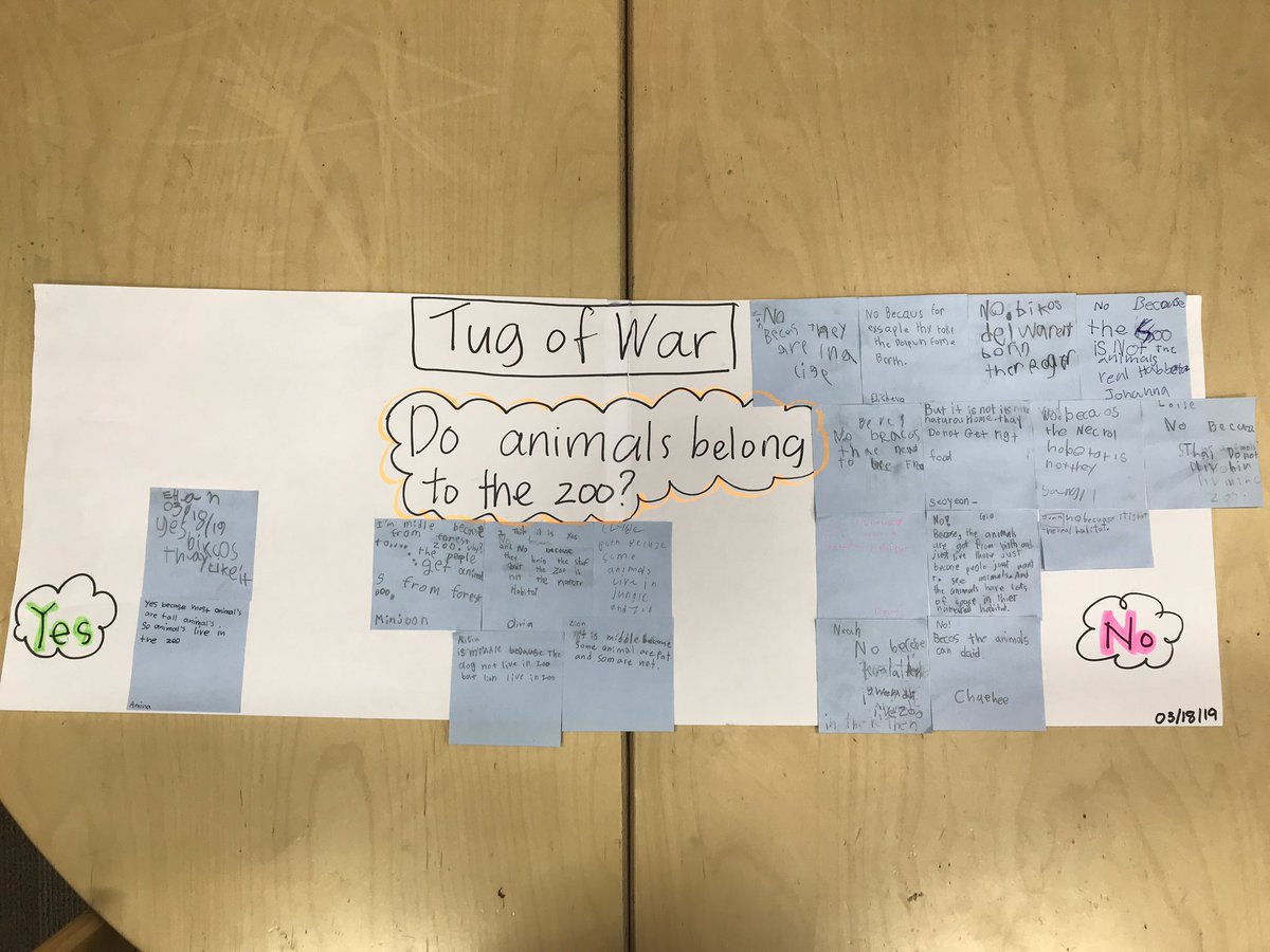 After last week’s trip to the zoo, Ss used the visible thinking routine ‘Tug of War’ to share their ideas using the question, “Do animals belong to the zoo?” #visiblethinking @RonRitchhart @pamcee101 @rozzuell #sharingtheplanet #pyp