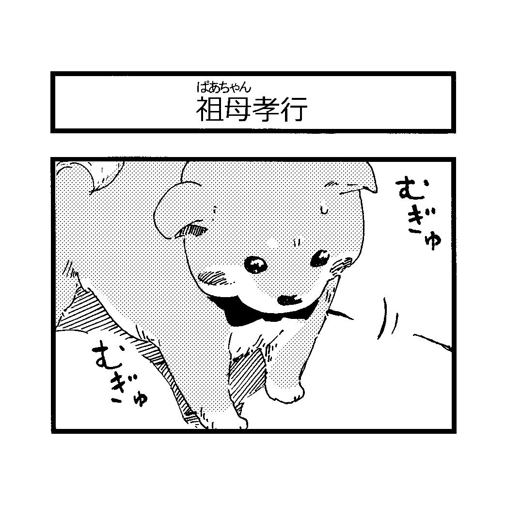 4コマ漫画?
「祖母孝行」

肉球って…カワ(・∀・)イイ!!✨

#柴犬 #豆柴 
#わんことばあちゃん
#3月11日
#一歩ずつ 