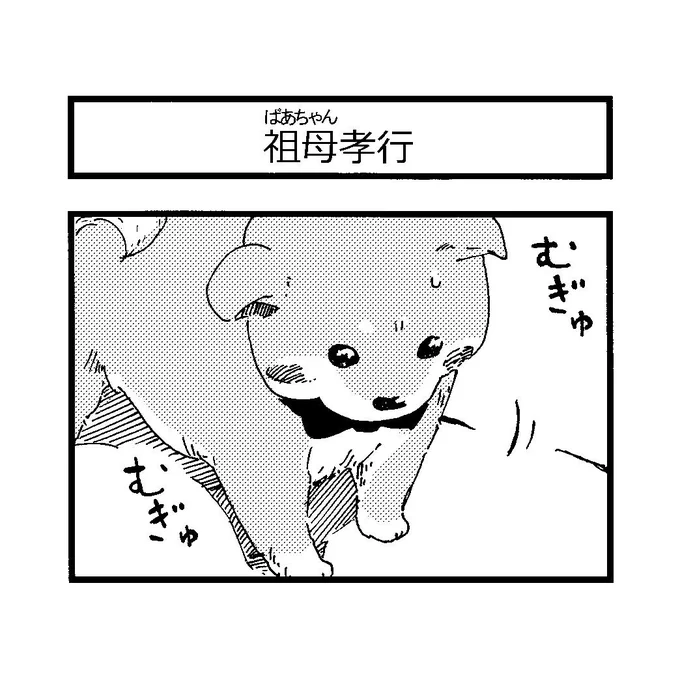 4コマ漫画?
「祖母孝行」

肉球って…カワ(・∀・)イイ!!✨

#柴犬 #豆柴 
#わんことばあちゃん
#3月11日
#一歩ずつ 