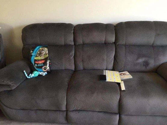 GeorgeBray's tweet image. Two weeks ago, her eyes became dull and somehow she lost her appetite. I took her to the vet and he recommended Supercoat. I gave it a try, and a month later my energetic baby is back! ❤️Thanks to #Supercoat for #dogs