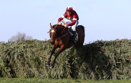 WillHillRacing's tweet image. ❌ 11/2
✅ 5/1

🐯 We&apos;ve seen plenty of support for #GrandNational favourite Tiger Roll. 

Can he make it back-to-back wins at Aintree? 🤔

🔄 RT for YES

♥️ LIKE for NO