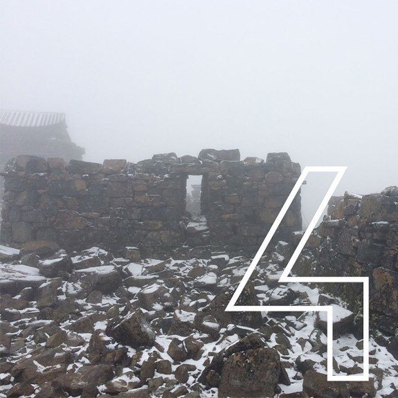 Lyceum Fellowship tweet media