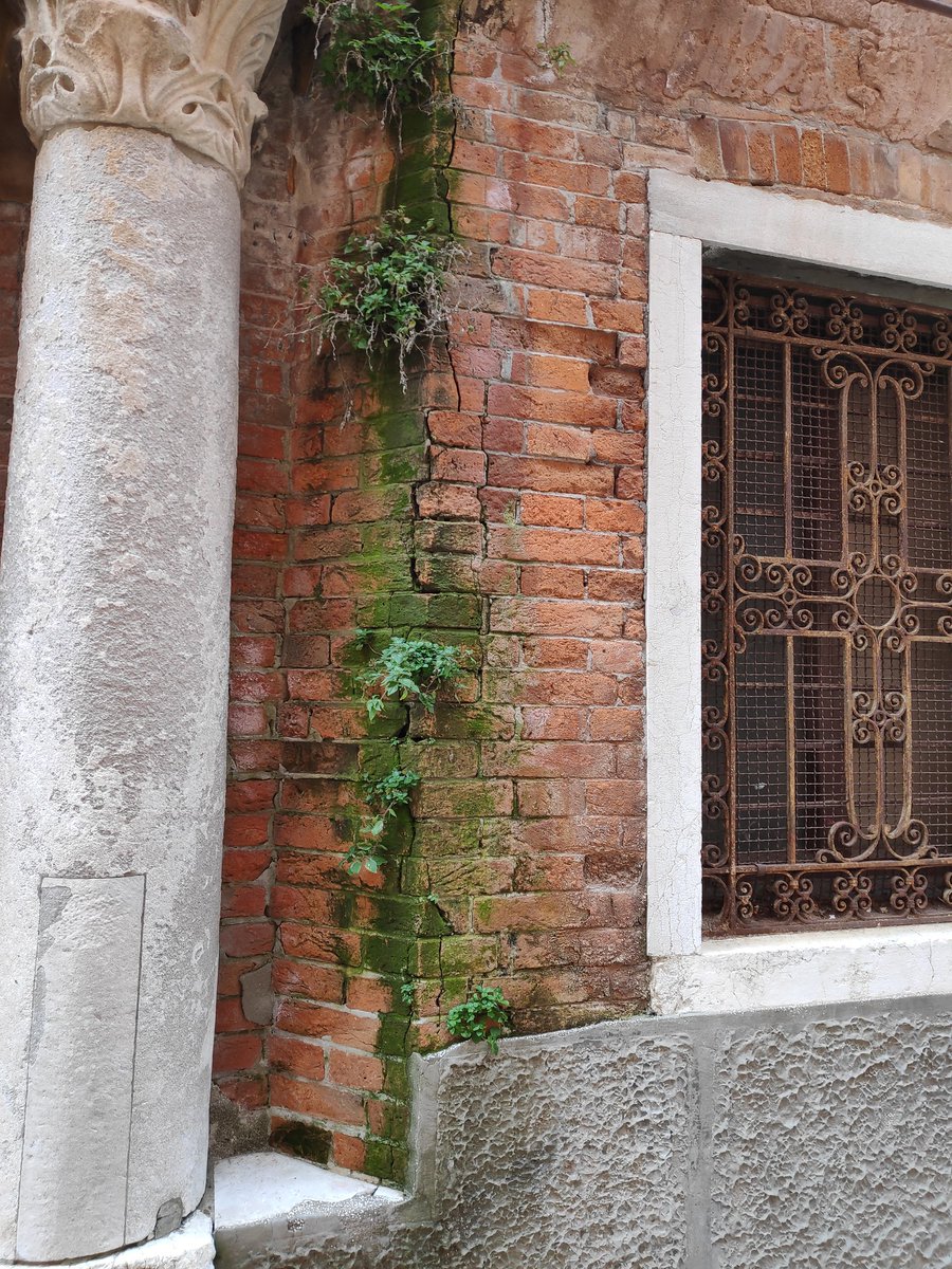 EmilyBunce12's tweet photo. Cracks in culture #scfsvenice2019 https://t.co/wG3nz2mWEl