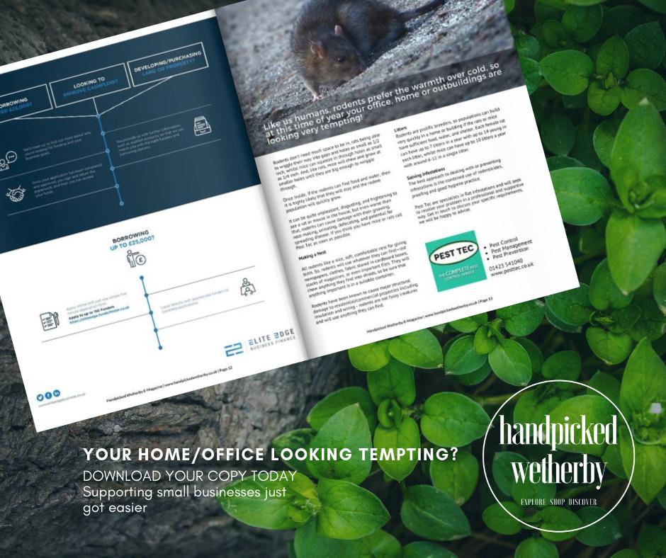 handpickedlocal's tweet image. Does your home/office look tempting... find out more with @PestTecUK #articlelink bit.ly/HPWMarch #pestcontrol #emagazinewetherby #wetherby #rats #mice