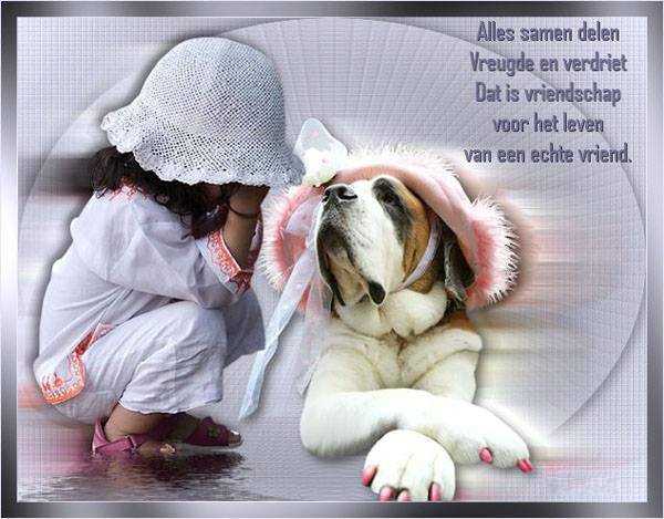 MediumTarotLady (@tarot_lady) on Twitter photo 