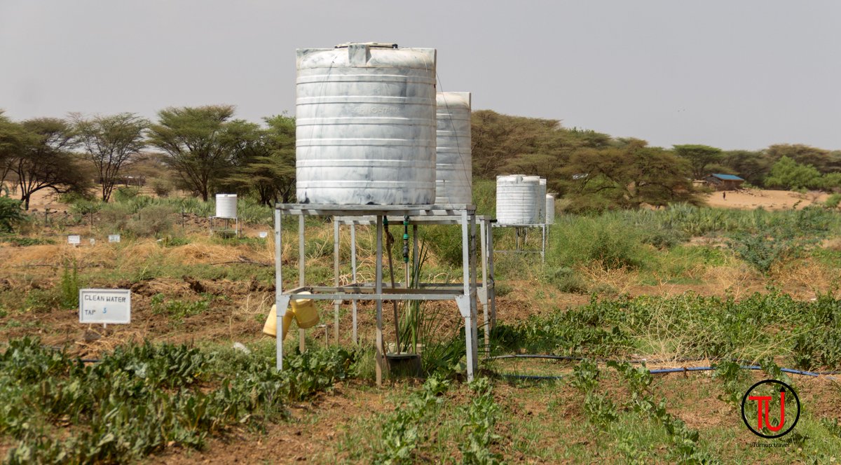 Turnup_Travel's tweet image. What comes to your mind when Turkana is mentioned? There are 56 irrigation schemes with 7500 HAs under agriculture. A trip to Turkana will change your perspective, check your privilege and transform your life. Join us in April 25-28 as we #ExploreTurkana facebook.com/events/5001941…