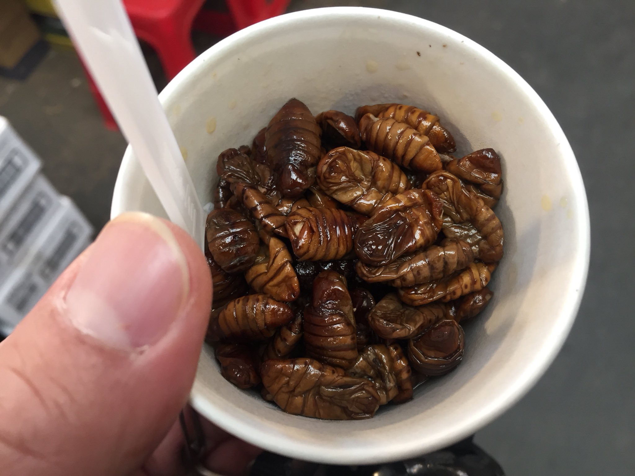 Yakken Z 旅 食 酒 行政書士 浜松 ちなみに蚕の写真見たい 見たい 閲覧注意 だからね ゲテモノ 韓国 ポンデギ 広蔵市場 T Co Djixpacq42 Twitter Yakken Z 旅 食 酒 行政書士 浜松 ちなみに蚕の写真見たい 見たい 閲覧注意 だからね ゲテモノ 韓国 ポンデギ 広蔵市場 T Co Djixpacq42 Twitter