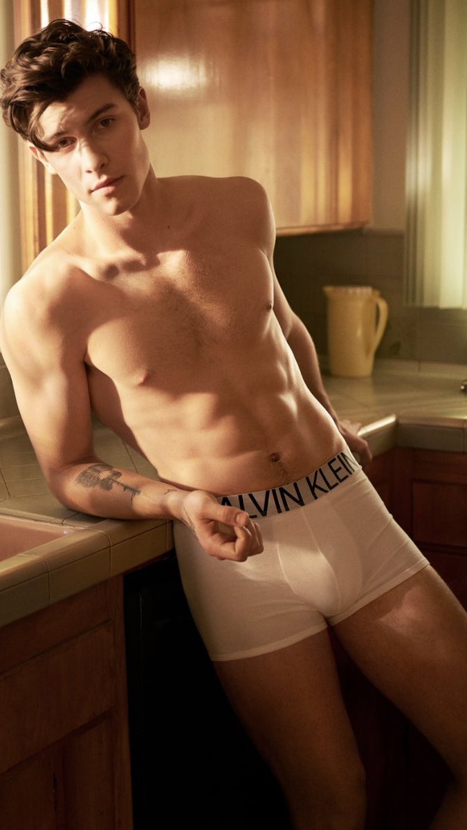 I wouldn’t mind waking up every morning, walking to the kitchen and see this. Like who are you man?! How can you look like that? It’s not physically possible. Help. <a href="/ShawnMendes/">Shawn Mendes</a>