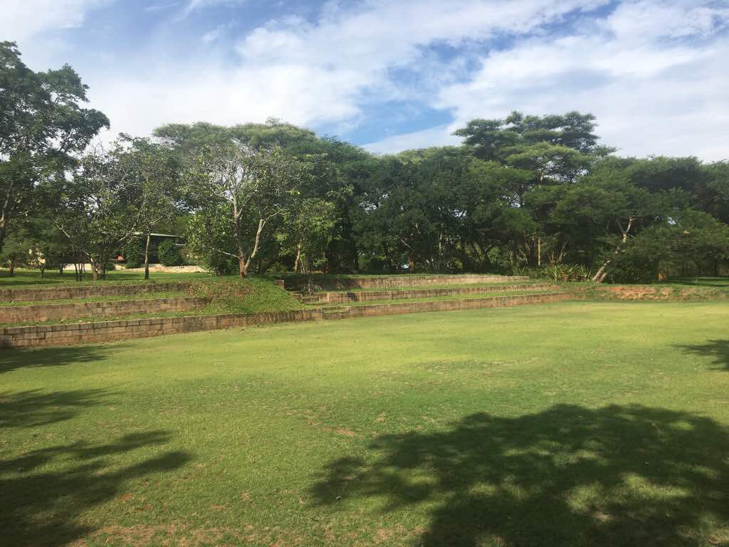 YrInsiderZambia's tweet photo. #mondaythoughts The tree which moves some to tears of joy is in the eyes of others only a green thing which stands in the way… As a man is, so he sees,” William Blake: #WhatDoWeSee? #AAL #lifeisgood #lifeistooshortso #LifeLessons #MondayMood https://t.co/msXMpNL0yT
