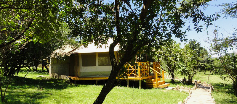 TreeHillTravel's tweet photo. Discover Maasai Mara from as little as Ksh. 4,500 on full board basis at the amazing Ol-moran Tented Camp. Hot deals exclusive to Tree Hill Travel!
#LetsGoToMaasaiMara #tembeakenya #bushsafari #DiscoverMaasaiMara #Bushvacation https://t.co/DZ09txLVYI