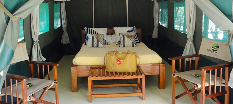 TreeHillTravel's tweet photo. Discover Maasai Mara from as little as Ksh. 4,500 on full board basis at the amazing Ol-moran Tented Camp. Hot deals exclusive to Tree Hill Travel!
#LetsGoToMaasaiMara #tembeakenya #bushsafari #DiscoverMaasaiMara #Bushvacation https://t.co/DZ09txLVYI